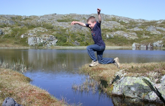 Vassfjellet, 2003